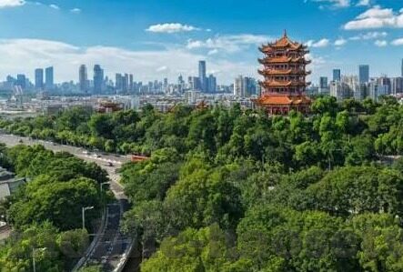 大象传媒下载app下载-探索大象传媒APP，数字时代的娱乐新选择