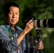 大象传媒下载官网-探索大象传媒下载官网，一站式娱乐与信息获取的便捷平台